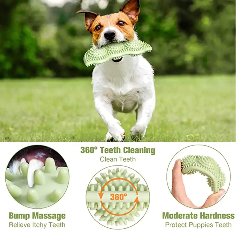 Bite Resistant Interactive Chew Stick Dog Toy